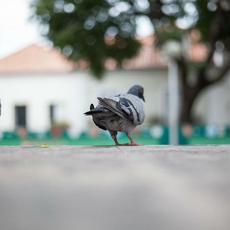 Casa Santa Marinha Lejlighed Lisboa Eksteriør billede